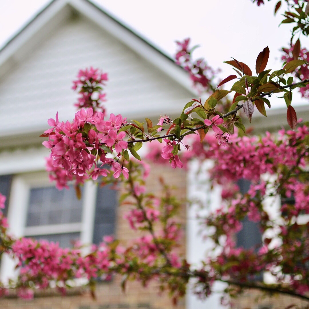 Spring home decor ideas for 2024